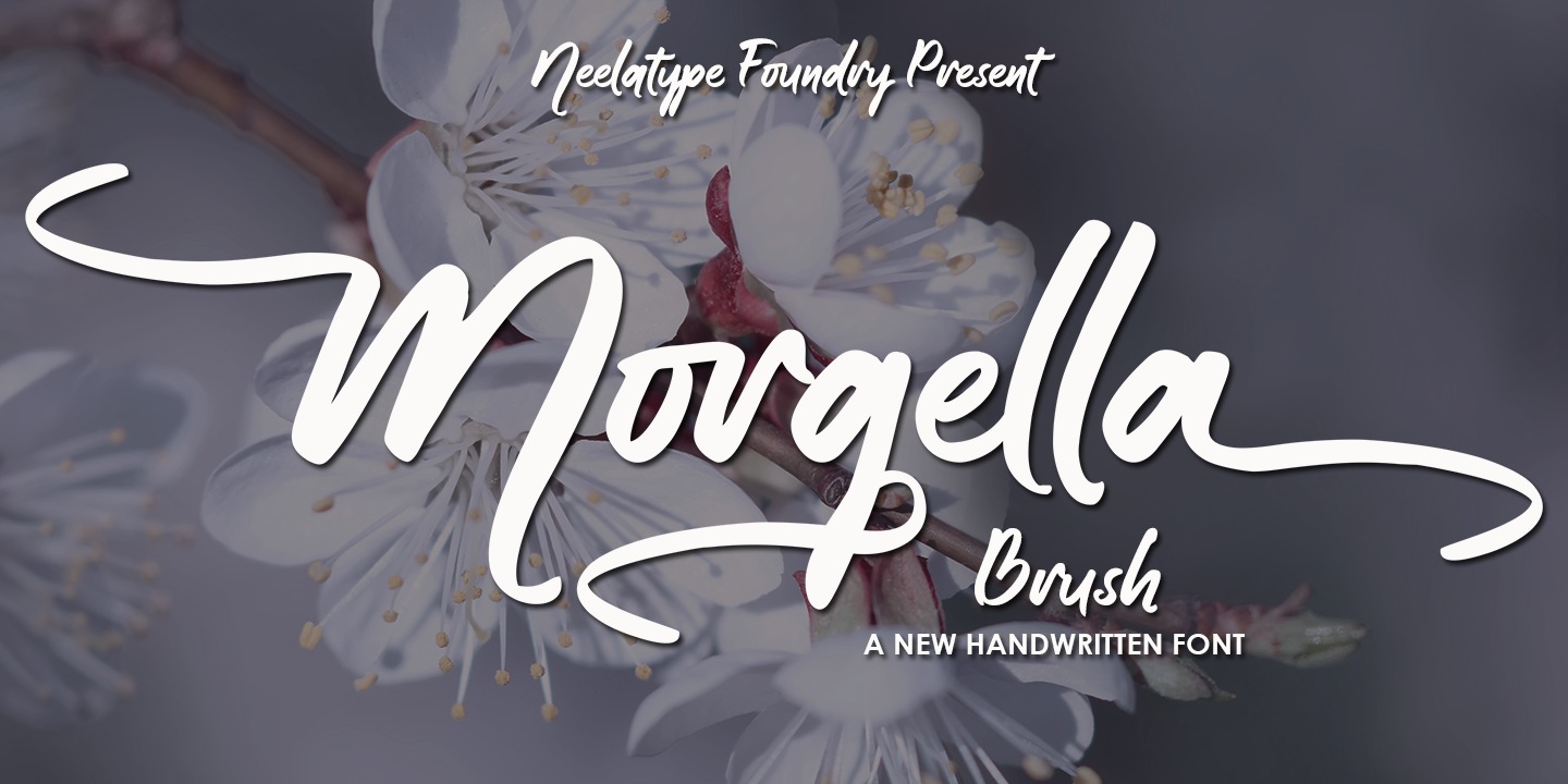 Morgella Brush Regular Font preview